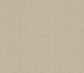 Обои Rasch New Maximum 806144
